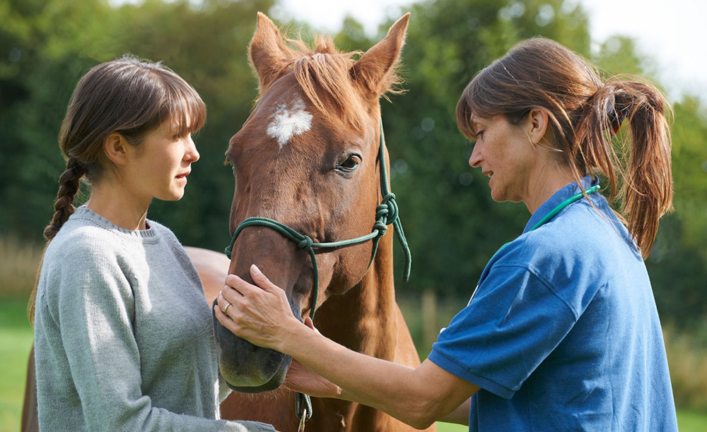 veterinaria che visita il cavallo di una ragazza