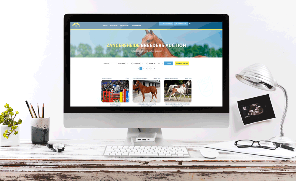 Zangersheide Breeders Auction