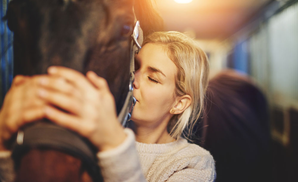 Consigli per l’acquisto di una cavalla