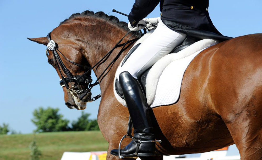 Fantino a cavallo