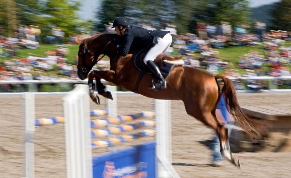 Il Campionato del Mondo equestre nel 2022